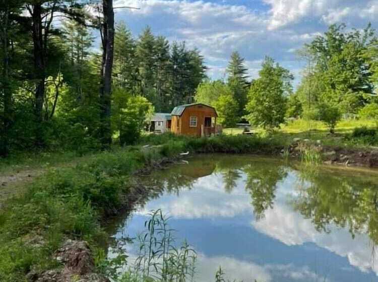 Cabin & Motel Rentals