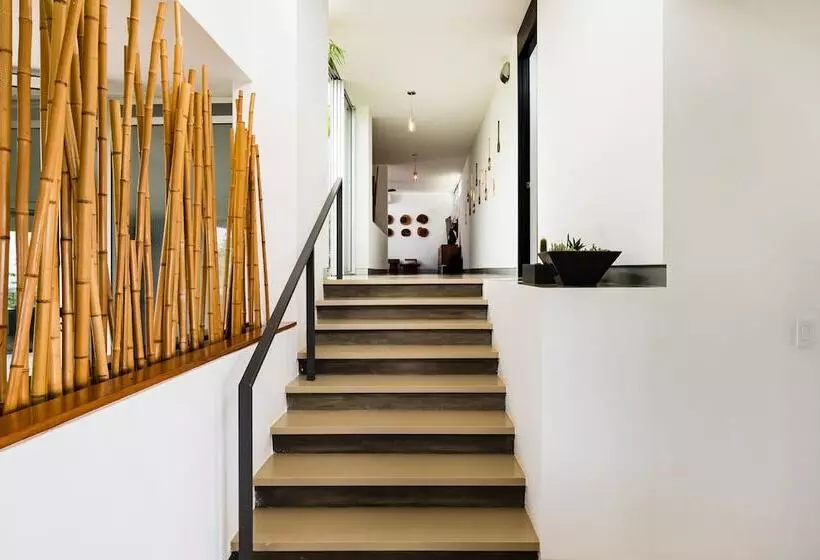 Luna Magnifica   Luna 18