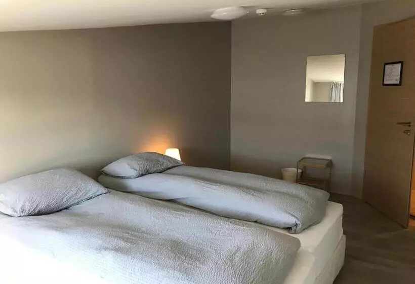 پانسیون Blue Viking Guesthouse