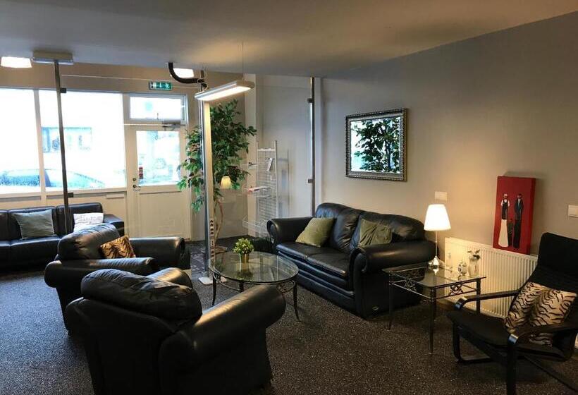 Пансион Blue Viking Guesthouse