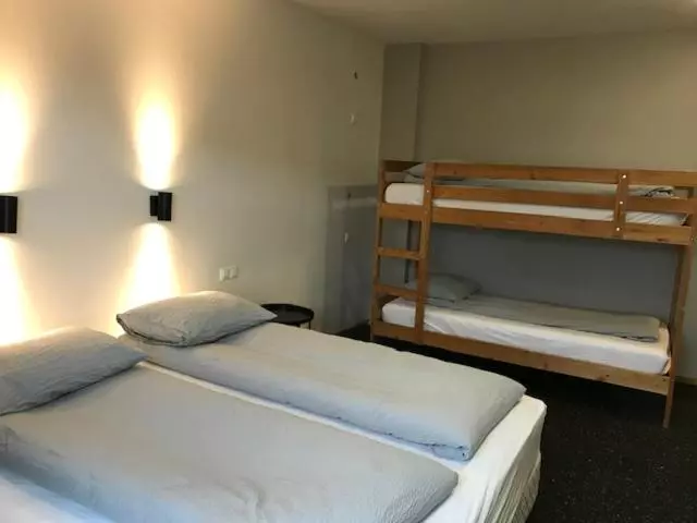 پانسیون Blue Viking Guesthouse