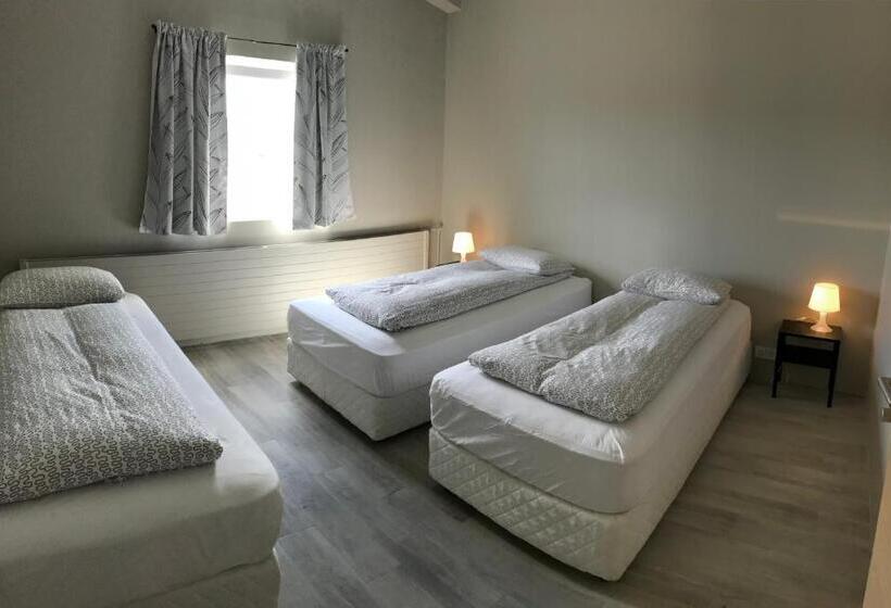 Пансион Blue Viking Guesthouse