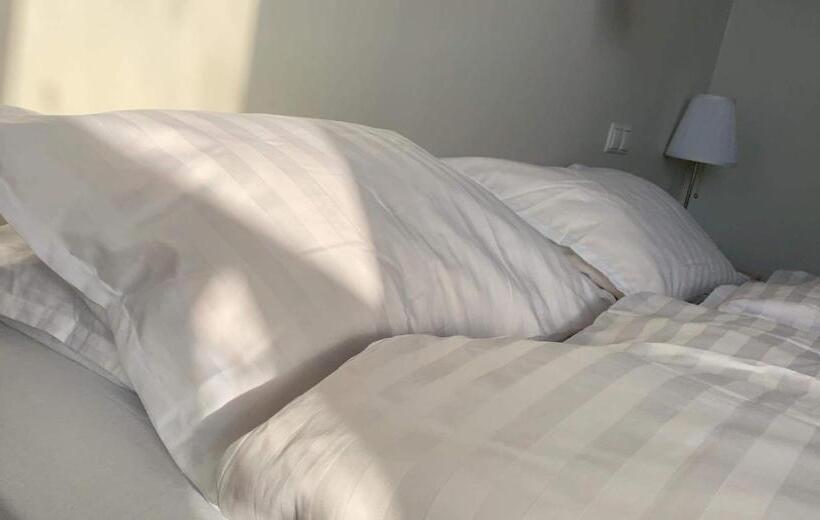 Пансион Blue Viking Guesthouse