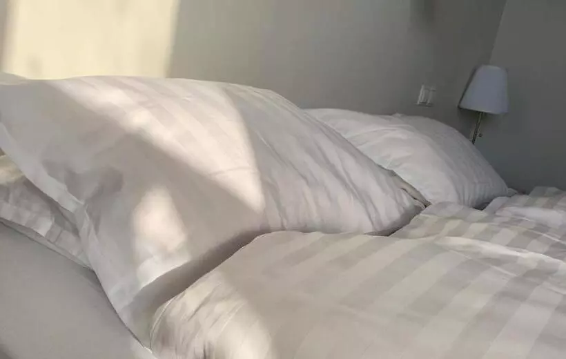 پانسیون Blue Viking Guesthouse