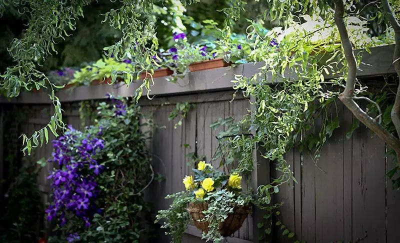 ホテル Morgan State House Inn