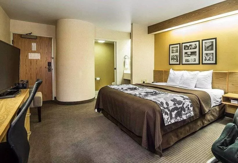 ホテル Quality Inn Moab Slickrock Area