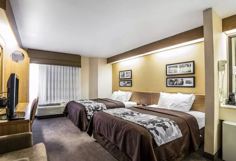 ホテル Quality Inn Moab Slickrock Area