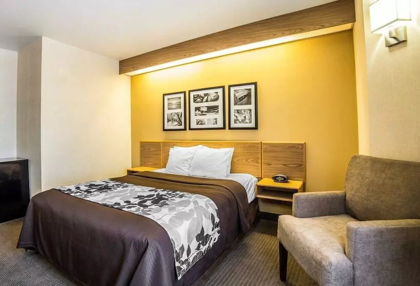 ホテル Quality Inn Moab Slickrock Area