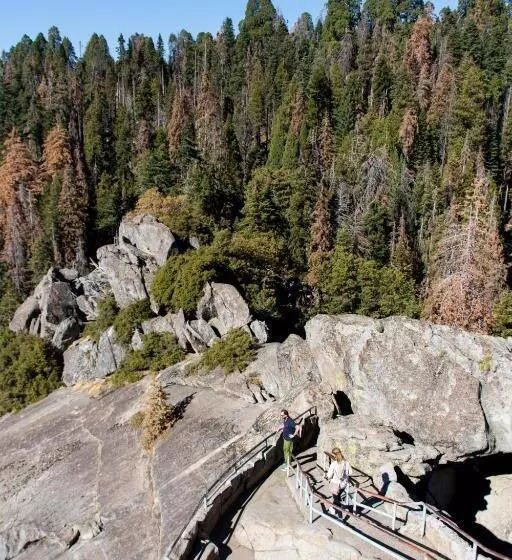 ホテル Sierra Lodge Three Rivers