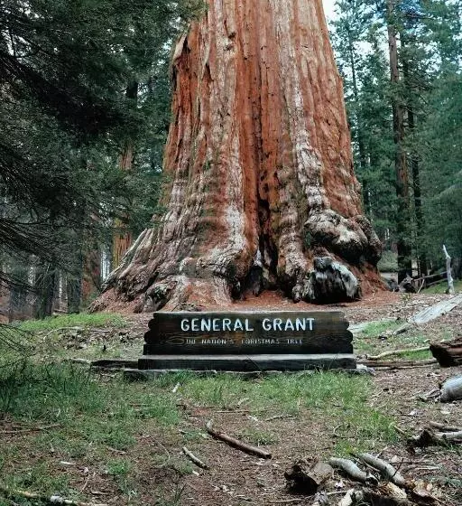 ホテル Sierra Lodge Three Rivers