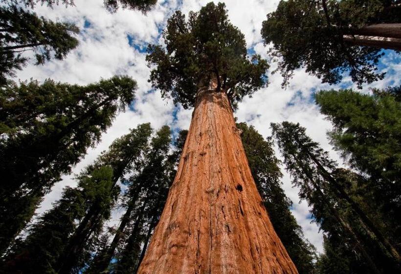 בית מלון כפרי Sierra Lodge Three Rivers