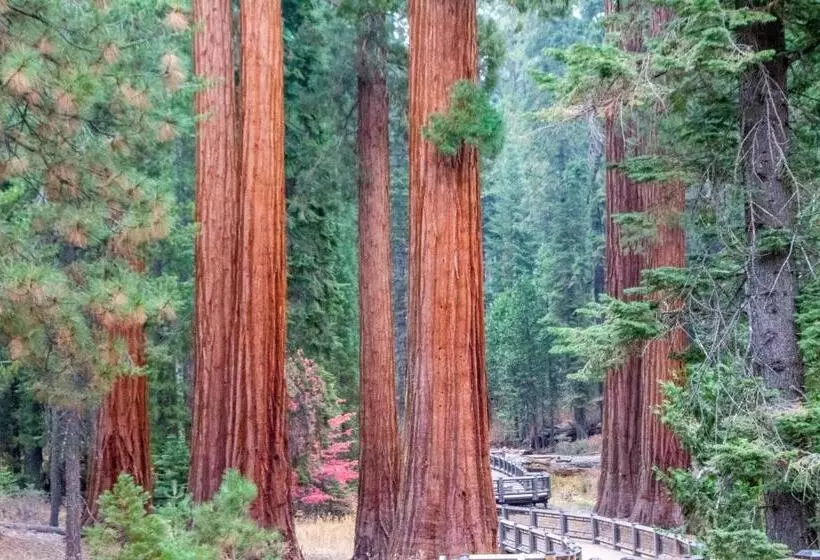 ホテル Sierra Lodge Three Rivers