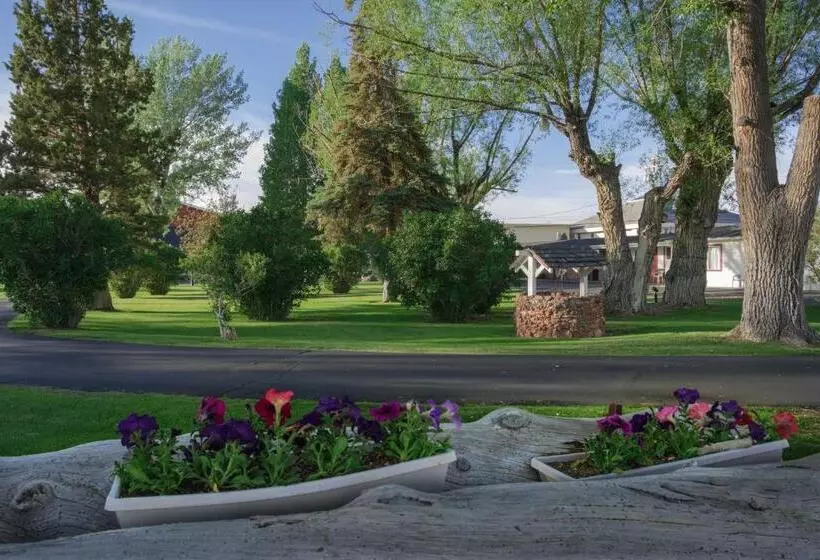 호텔 Silver Maple Inn And The Cain House Country Suites