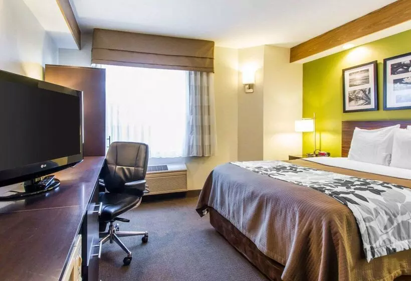 酒店 Econo Lodge Amarillo East