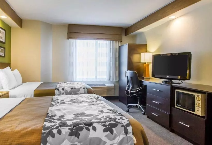 酒店 Econo Lodge Amarillo East