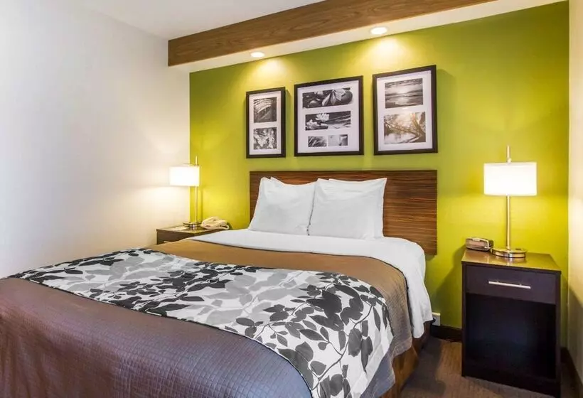 酒店 Econo Lodge Amarillo East