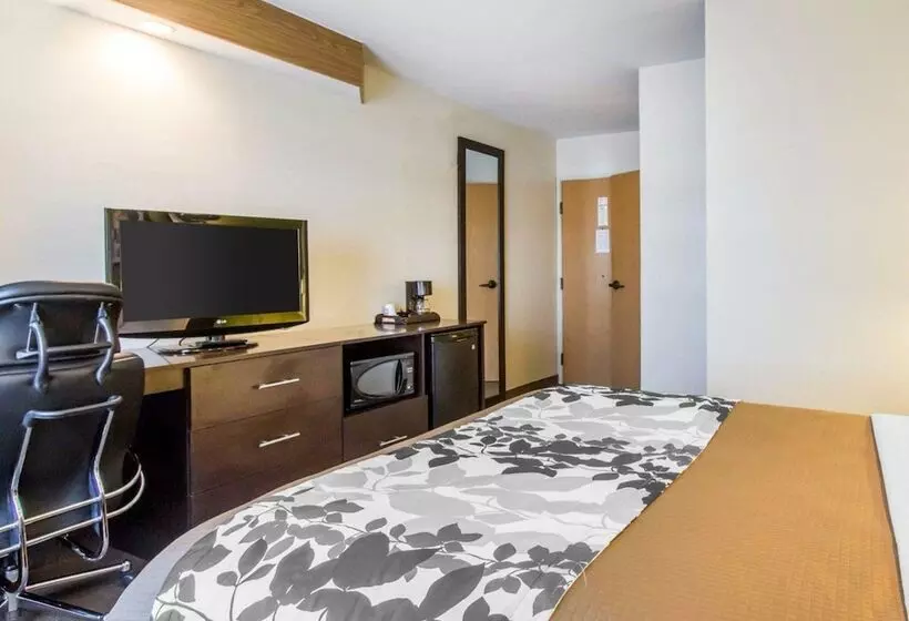 酒店 Econo Lodge Amarillo East