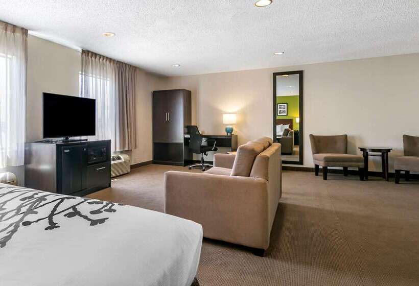 ホテル Sleep Inn Allentown Fogelsville