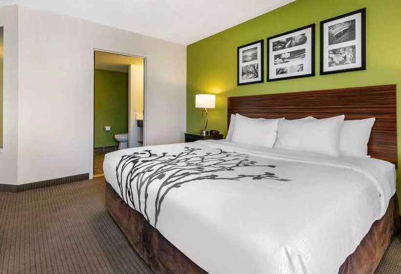 Отель Sleep Inn Allentown Fogelsville