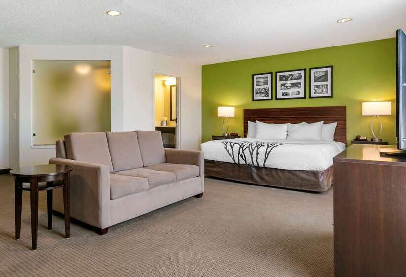 ホテル Sleep Inn Allentown Fogelsville