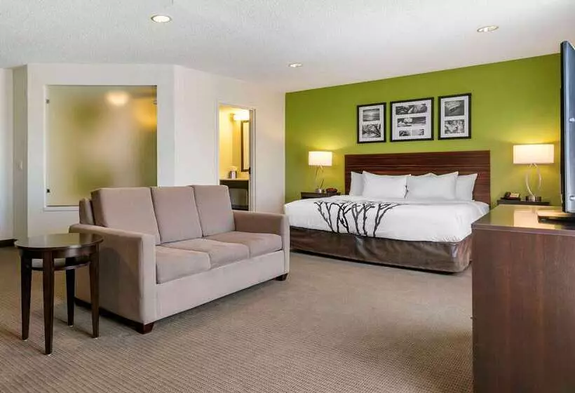 Отель Sleep Inn Allentown Fogelsville