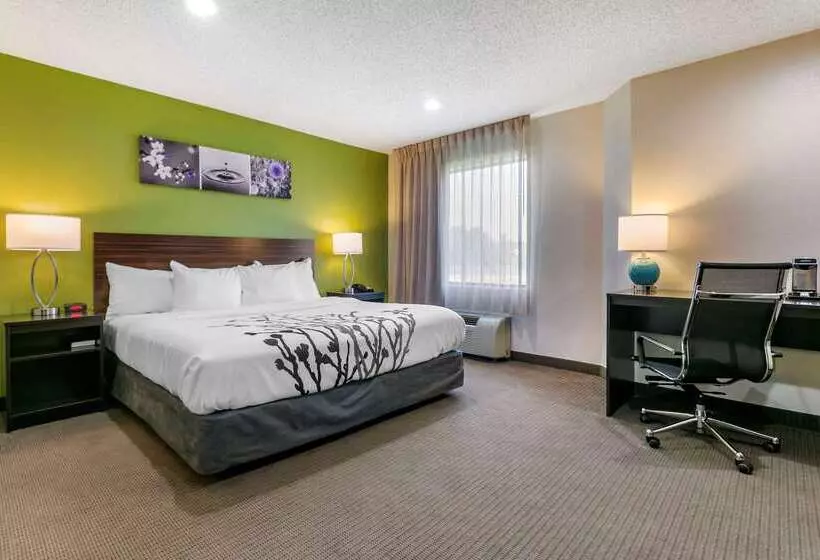 Отель Sleep Inn Allentown Fogelsville
