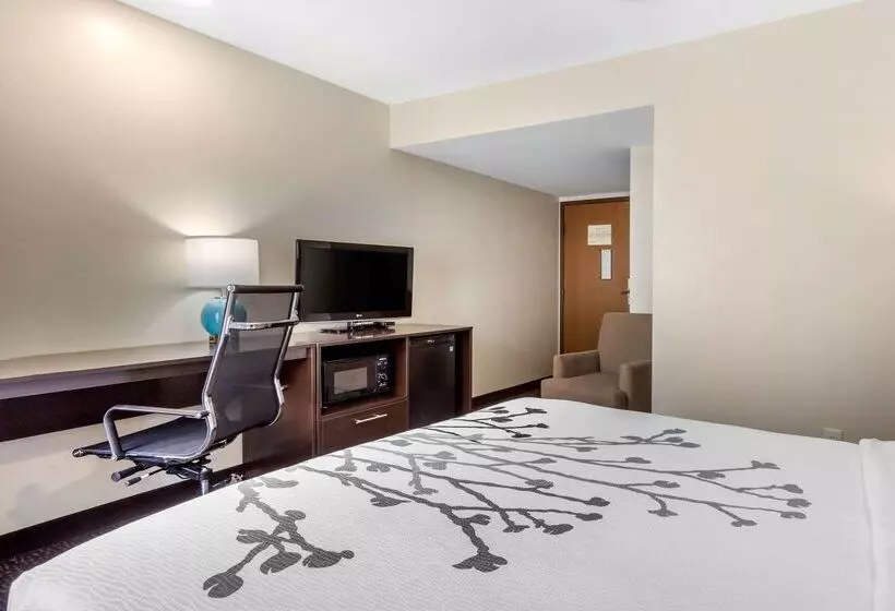 هتل Sleep Inn & Suites