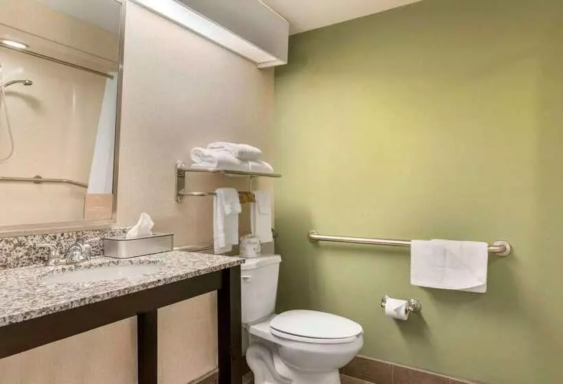 בית מלון כפרי Sleep Inn Carlisle South