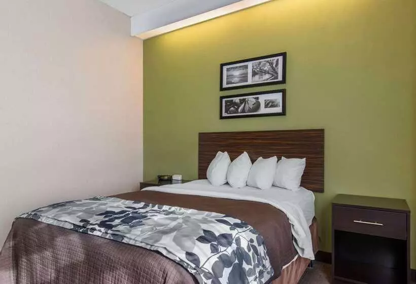 בית מלון כפרי Sleep Inn Carlisle South