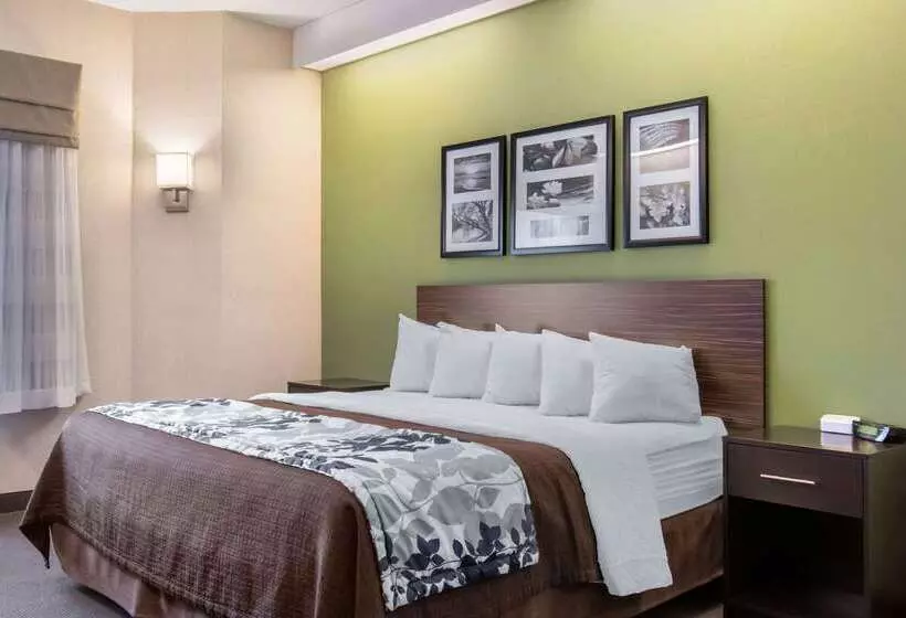 בית מלון כפרי Sleep Inn Carlisle South