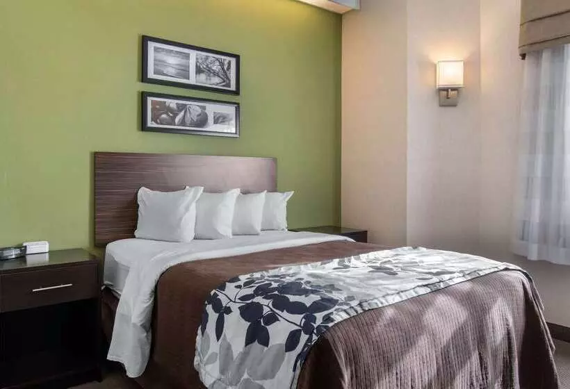 בית מלון כפרי Sleep Inn Carlisle South