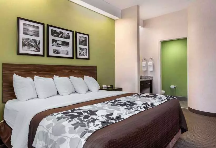 בית מלון כפרי Sleep Inn Carlisle South