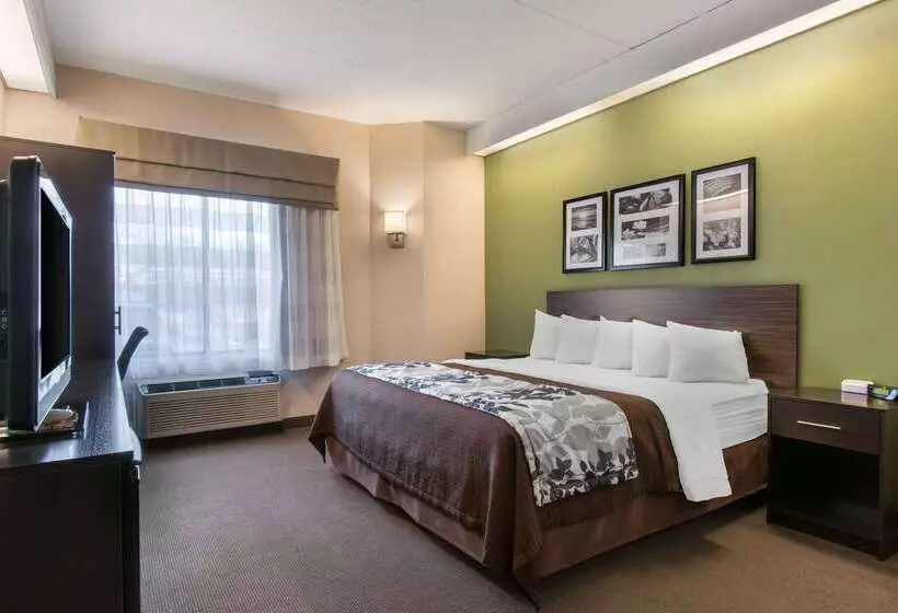 בית מלון כפרי Sleep Inn Carlisle South