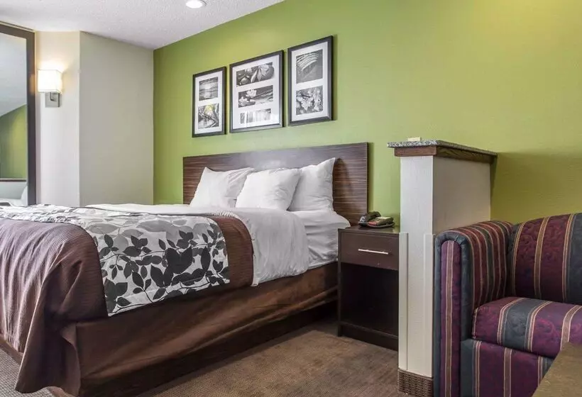 호텔 Sleep Inn Columbia