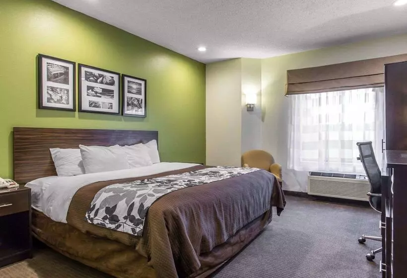 호텔 Sleep Inn Columbia