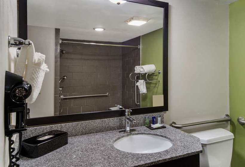 בית מלון כפרי Sleep Inn Hanes Mall