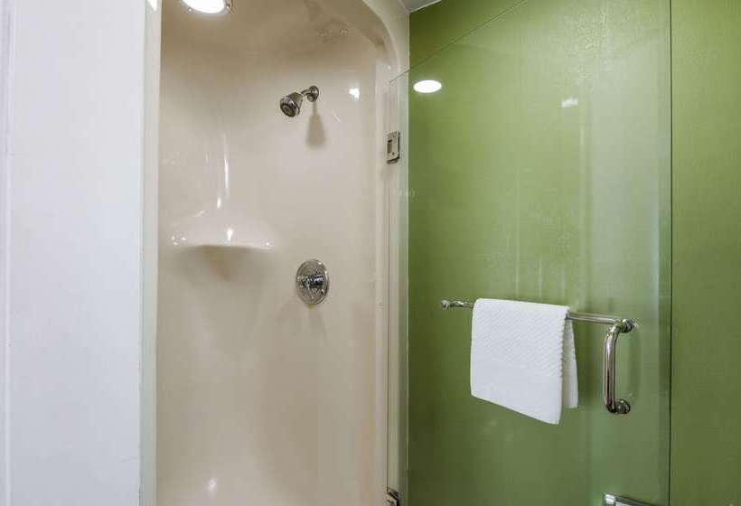 בית מלון כפרי Sleep Inn Hanes Mall