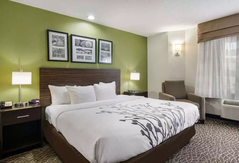 هتل Sleep Inn Hanes Mall