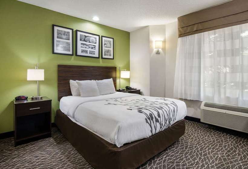 בית מלון כפרי Sleep Inn Hanes Mall