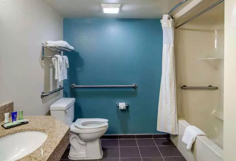 Отель Comfort Inn Marietta Atlanta Near Ballpark Galleria