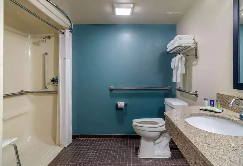 Отель Comfort Inn Marietta Atlanta Near Ballpark Galleria