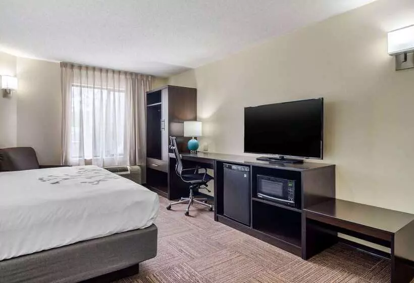Отель Comfort Inn Marietta Atlanta Near Ballpark Galleria