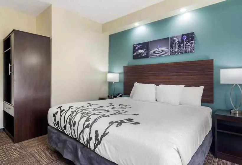 Отель Comfort Inn Marietta Atlanta Near Ballpark Galleria