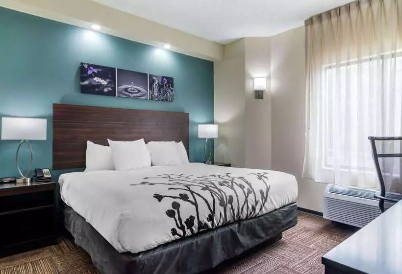 Отель Comfort Inn Marietta Atlanta Near Ballpark Galleria