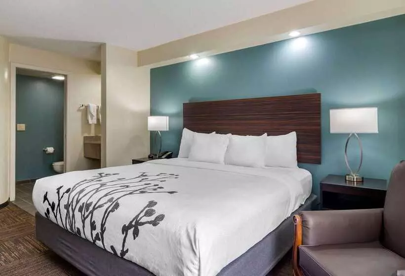 Отель Comfort Inn Marietta Atlanta Near Ballpark Galleria