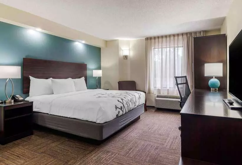 Отель Comfort Inn Marietta Atlanta Near Ballpark Galleria