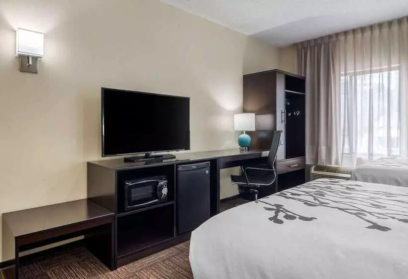 Отель Comfort Inn Marietta Atlanta Near Ballpark Galleria