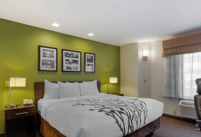 호텔 Sleep Inn