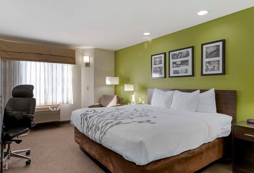 호텔 Sleep Inn