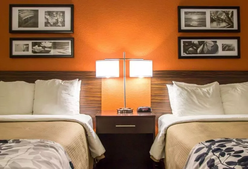 호텔 Sleep Inn Ormond Beach Daytona